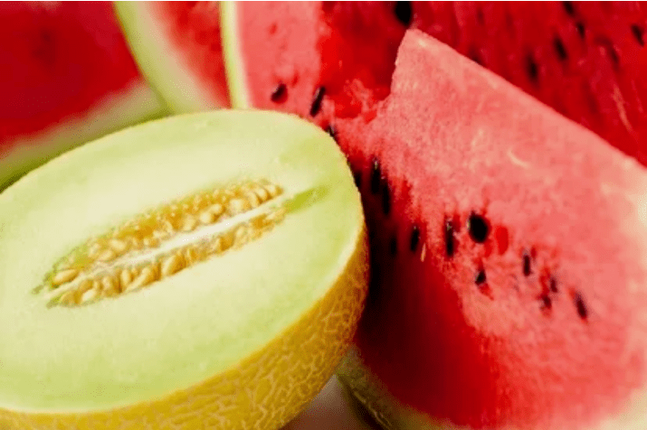 Vandmelon melon diæt